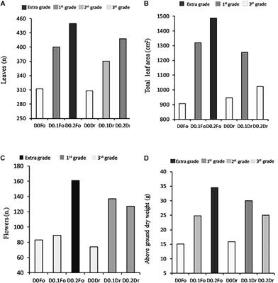 Petunia Performance Under Application of Animal-Based Protein Hydrolysates: Effects on Visual Quality, Biomass, Nutrient Content, Root Morphology, and Gas Exchange